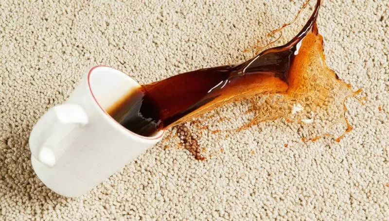 پاک کردن لکه چای از روی فرش و مبل