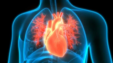 چگونه سلامت قلب خود را تضمین کنیم