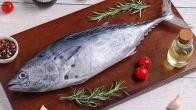 آشنایی با ماهی های خوراکی مغذی از دریای شمال و جنوب