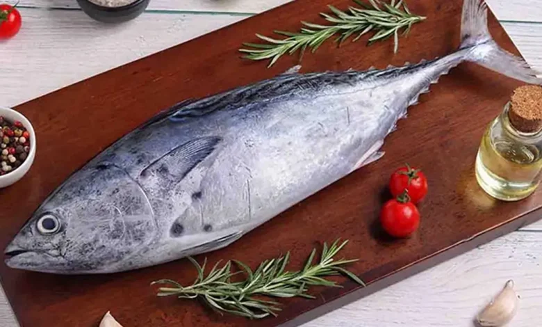 آشنایی با ماهی های خوراکی مغذی از دریای شمال و جنوب