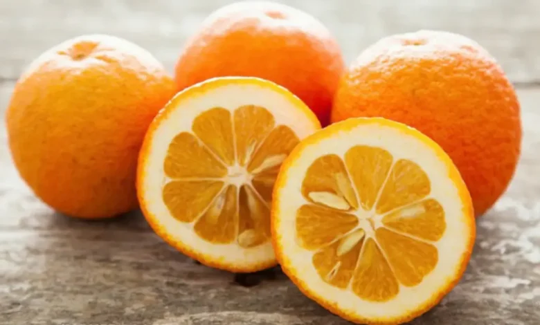 خواص نارنج و فواید درمانی فوق العاده