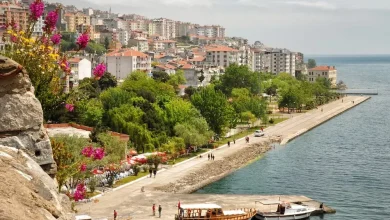 تجربه آرامش بخش و طبیعت بکر در شهر وان ترکیه