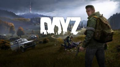 راهنمای بازی DAYZ