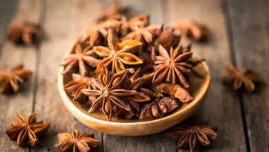 خواص بادیان برای بدن | بادیان رومی و چینی چه تفاوتی دارند؟