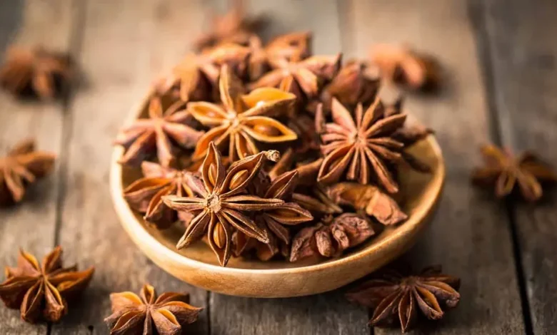 خواص بادیان برای بدن | بادیان رومی و چینی چه تفاوتی دارند؟