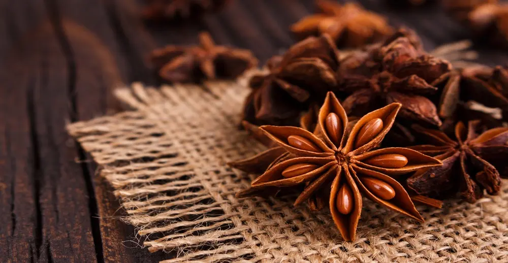 بادیان یک گیاه دارویی پرکاربرد در طب سنتی