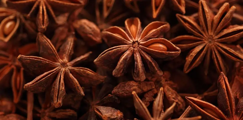 بادیان گیاهی فوق العاده با خواصی بی نظیر 