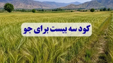 کود سه بیست برای جو