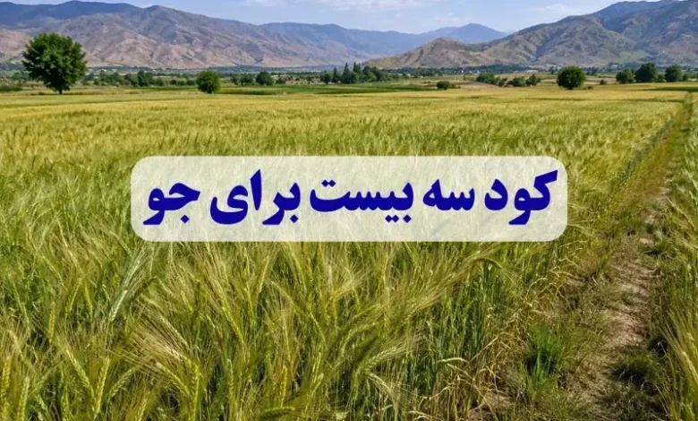 کود سه بیست برای جو